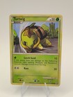 Turtwig