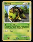Turtwig