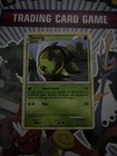 Turtwig