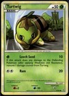 Turtwig