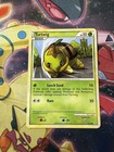Turtwig