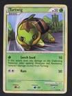 Turtwig