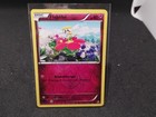 Flabebe