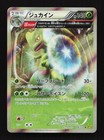 Sceptile EX