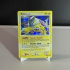 Raikou