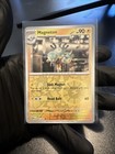 Magneton