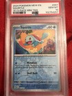 Squirtle