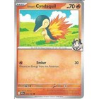 Ethan's Cyndaquil