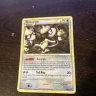 Smeargle