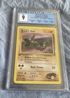 Brock's Onix