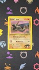 Brock's Onix