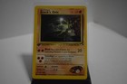 Brock's Onix