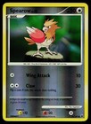Spearow
