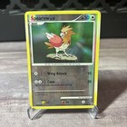 Spearow