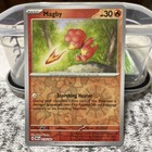 Magby