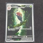Accelgor