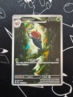 Accelgor