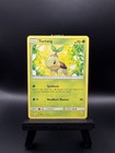 Turtwig