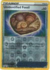 Unidentified Fossil