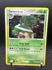 Torterra