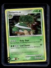 Torterra
