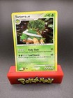 Torterra