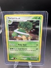 Torterra