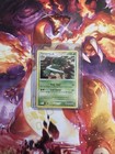 Torterra