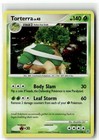 Torterra