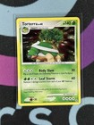 Torterra