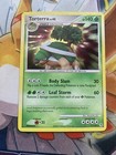 Torterra