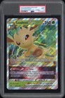 Leafeon VStar