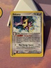 Delcatty