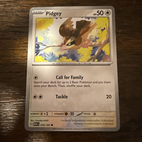 Pidgey