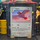 Pidgey