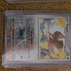 Pidgey