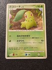 Chikorita