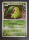 Chikorita