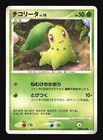 Chikorita