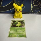 Chikorita