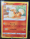 Growlithe