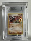 Groudon