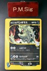 Karen's Tyranitar