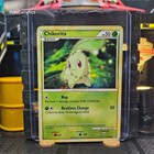 Chikorita