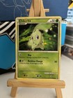 Chikorita