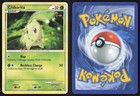 Chikorita