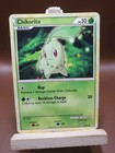 Chikorita