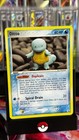 Ditto