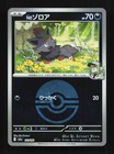N's Zoroark ex