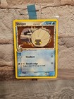 Shelgon